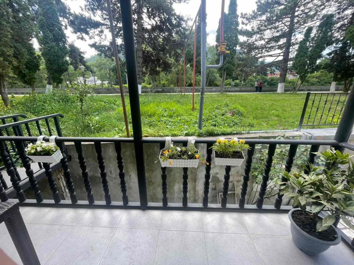 New Borjomi Apartment Exterior photo